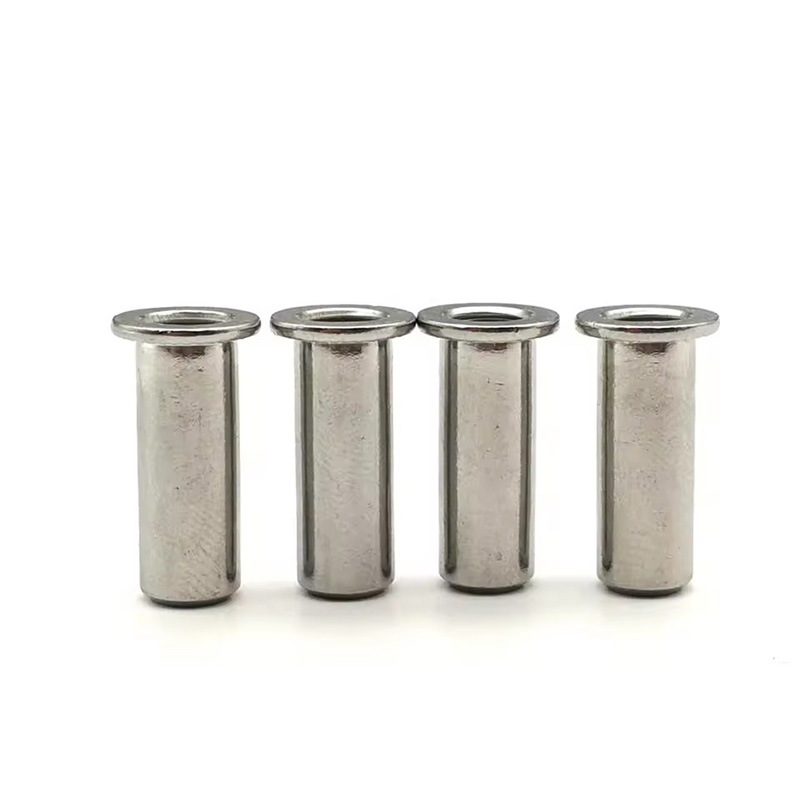 Korozyona Dayanıklı Counterk Head Riveted Fındık