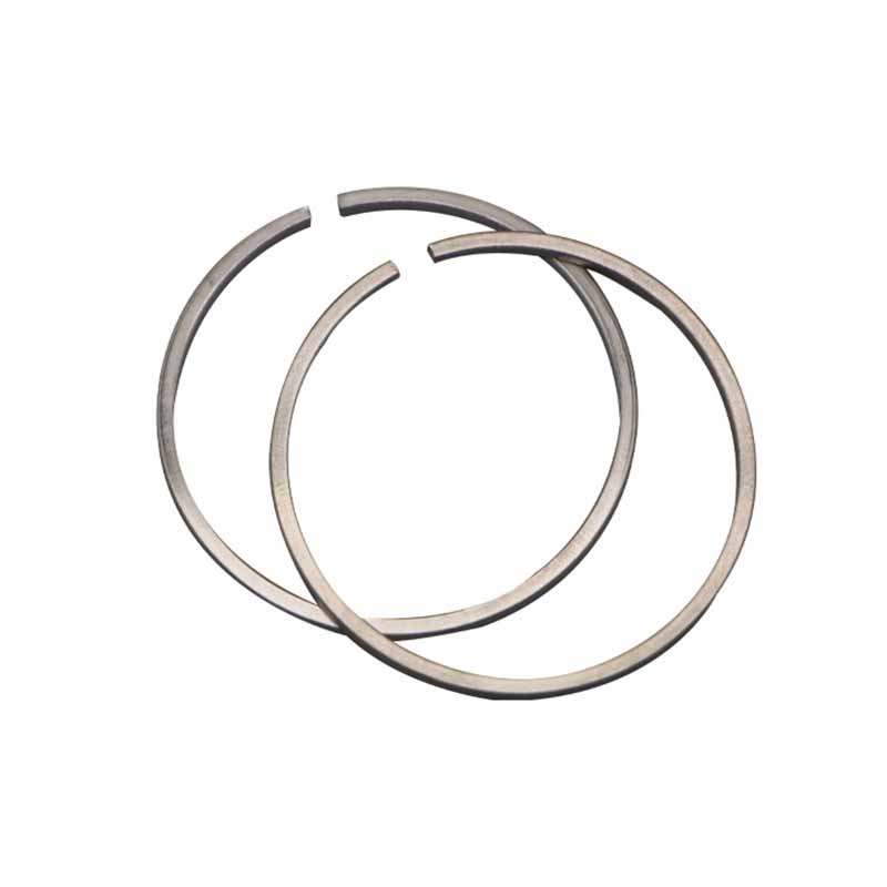 Snap ring